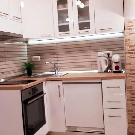 Center Tomislav Apartment Split